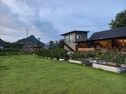 ไร่ภัทราวรินทร์