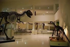 พิพิธภัณฑ์ไดโนเสาร์ภูเวียง (Phuwiang Dinosaur Museum)